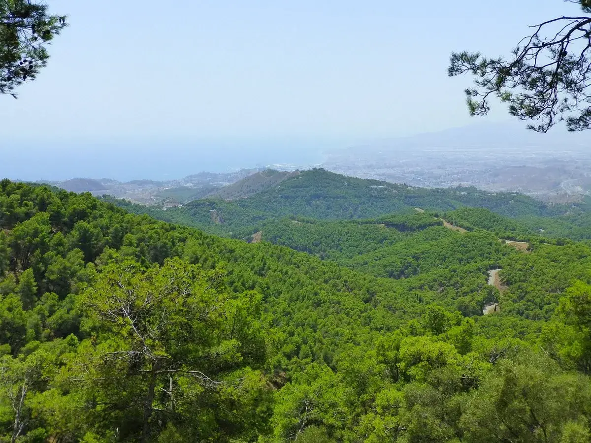 Discover Los Perez: A Hidden Gem in Montes de Málaga