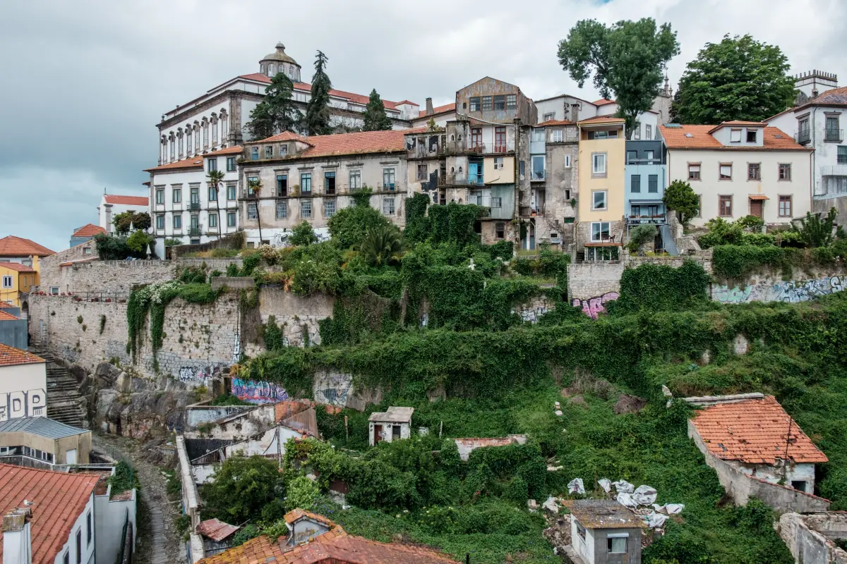 Discover the Best of Porto: Top Attractions and Activities