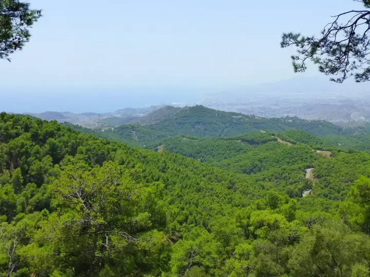 Discover Los Perez: A Hidden Gem in Montes de Málaga